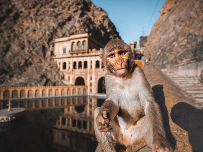 From Delhi: Private Jaipur 2-Day Tour with Accommodation - Deep Dive: Why this Tour Works for You
