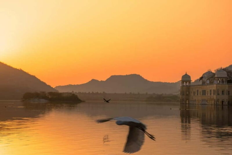 From Delhi: Private Jaipur Highlights Day Trip with Transfer - Final Thoughts