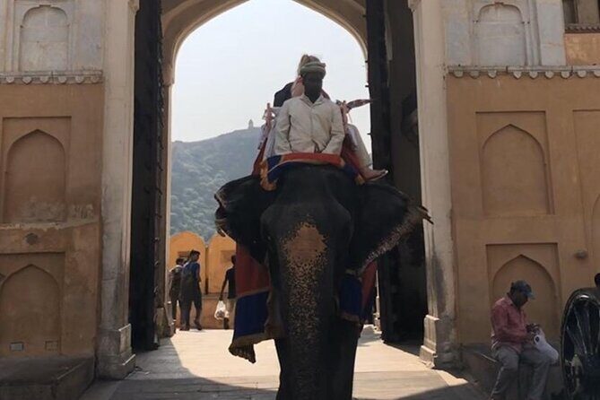 From Delhi: Private Jaipur Tour by Car - All Inclusive - The Itinerary Breakdown: What to Expect