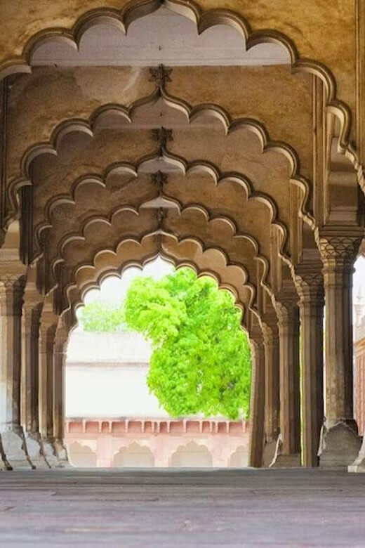 From Delhi: Private Taj Mahal & Agra Tour with 5* Lunch - Starting with the Journey: From Jaipur to Agra
