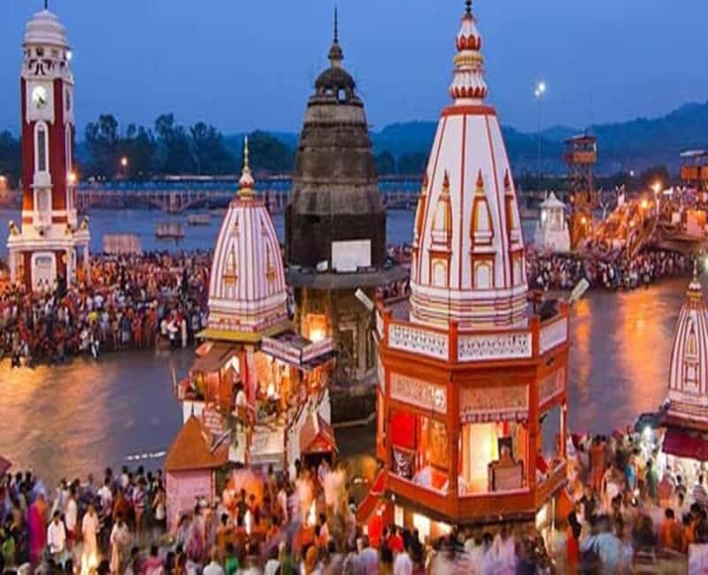 From Delhi: Rishikesh and Haridwar Private Day Tour - Who Should Consider This Tour?