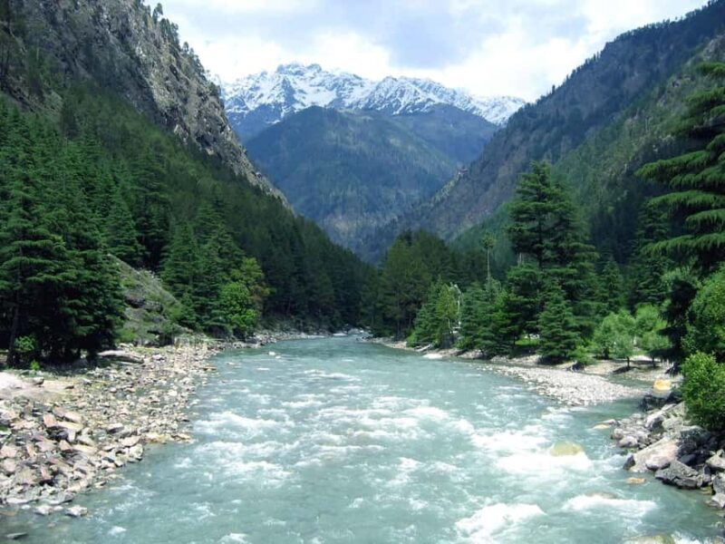 From Delhi: Rishikesh Guided Day Tour by Car - What to Expect on Your Rishikesh Day Trip