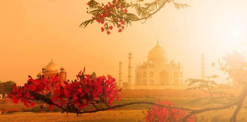 From Delhi: Sunrise Taj Mahal & Full Agra City Amazing Tour - The Journey Begins: Pre-Dawn from Delhi