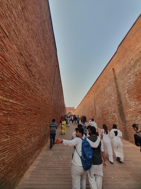 From Delhi: Sunrise Taj Mahal Tour With Elephant SOS - Practical Tips for Travelers