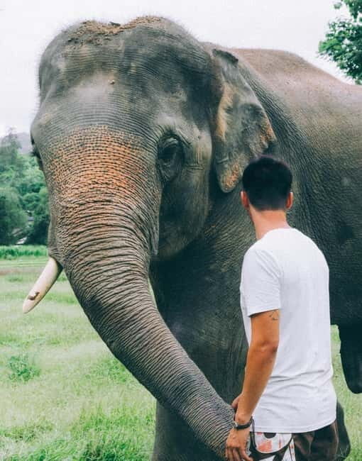 From Delhi: Sunrise Taj Mahal & visit Elephant Conservation - Key Points