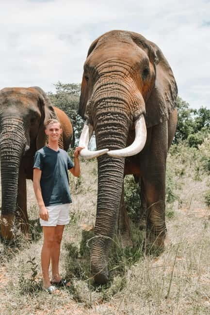 From Delhi: Sunrise Taj Mahal & visit Elephant Conservation - What the Tour Doesn’t Cover