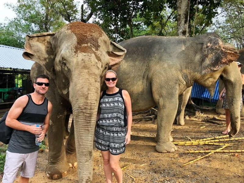 From Delhi: Taj Mahal, Agra Fort & Elephant Rescue Tour - Final Thoughts