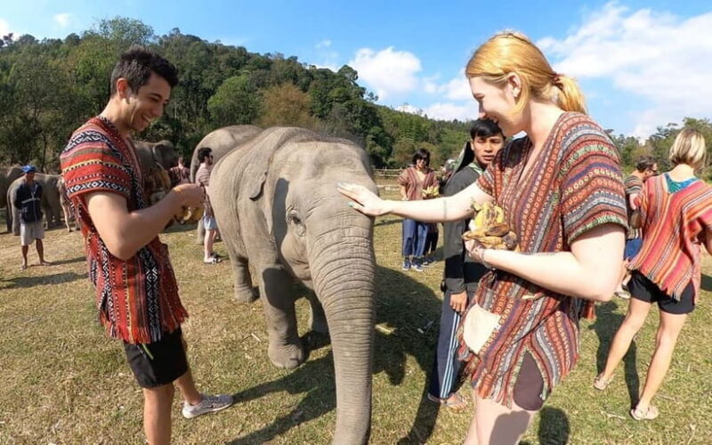 From Delhi: Taj Mahal, Agra Fort & Elephant Rescue Tour - FAQs