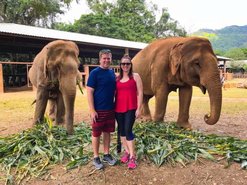 From Delhi: Taj Mahal, Agra Fort & Elephant Sanctuary Tour - An in-Depth Look at the Tour Experience