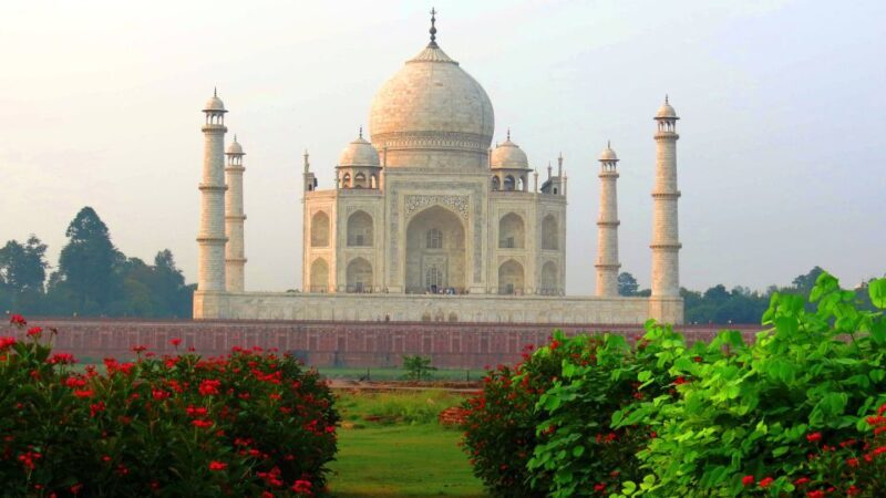 From Delhi: Taj Mahal & Agra Fort Private Tour with Options - The Cost and Value