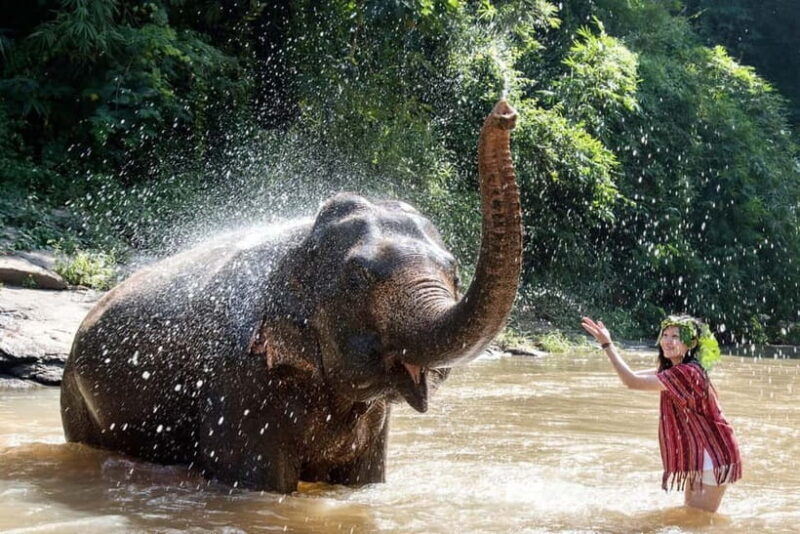 From Delhi: Taj Mahal & Elephant Rescue Centre Day Tour - An In-Depth Look at the Tour