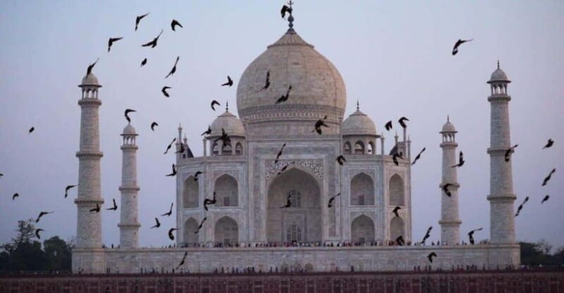 From Delhi: Taj Mahal Sunrise & Agra Day Tour with Transfers - Authentic Experiences and Real Traveler Feedback