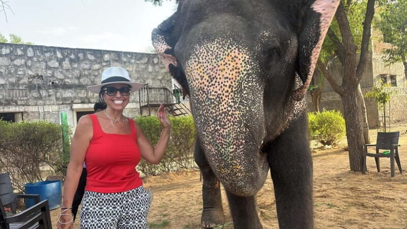 From Delhi: Taj Mahal Sunrise and Elephant Conservation Tour - A Practical Perspective on the Tour Experience