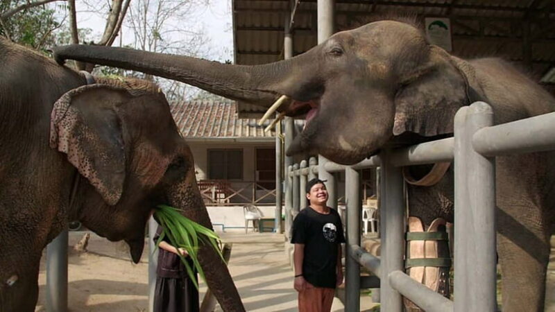From Delhi: Taj Mahal Sunrise and Elephant Conservation Tour - Additional Sightseeing and Shopping