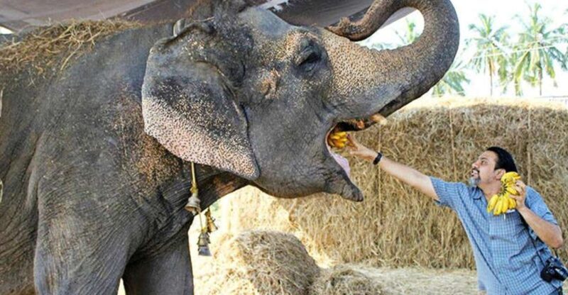From Delhi: Taj Mahal Sunrise and Elephant Wildlife SOS Tour - Key Points