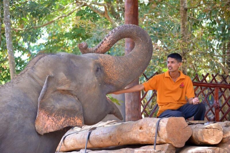 From Delhi: Taj Mahal Sunrise and Elephant Wildlife SOS Tour - Practical Tips for Travelers