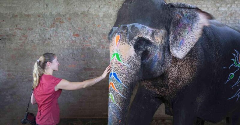 From Delhi: Taj Mahal Sunrise Tour w/ Elephant Conservation - What’s Included and What You Should Know