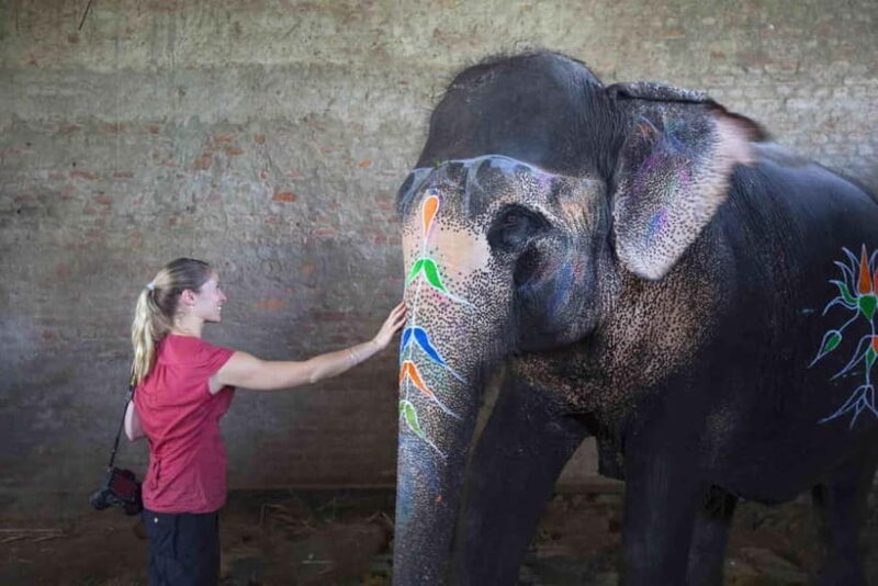 From Delhi: Taj Mahal Sunrise Tour w/ Elephant Conservation - Final Thoughts: Is This Tour Worth It?