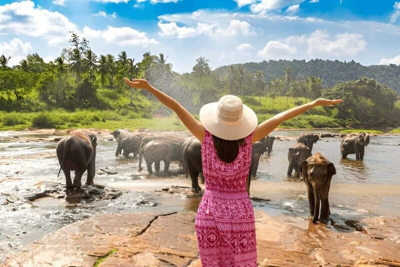 From Delhi: Taj Mahal Sunrise Tour with Elephant SOS Center - The Itinerary Breakdown: What to Expect from This Tour