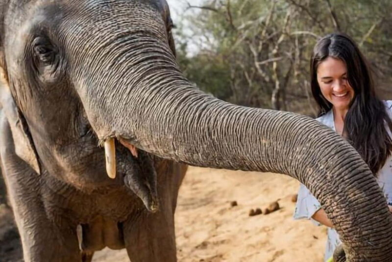 From Delhi: Taj Mahal Tour With Elephant SOS - Experience the Magic of the Taj Mahal at Dawn