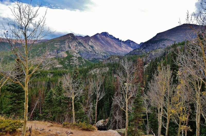 From Denver: Guided Hike in Rocky Mountain National Park - The Experience: A Deep Dive
