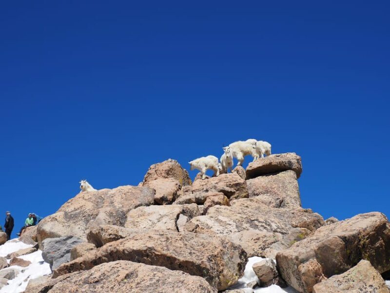 From Denver: Trip to Mount Blue Sky Summit and Glacial Lake - The Itinerary Unpacked: What You Can Expect