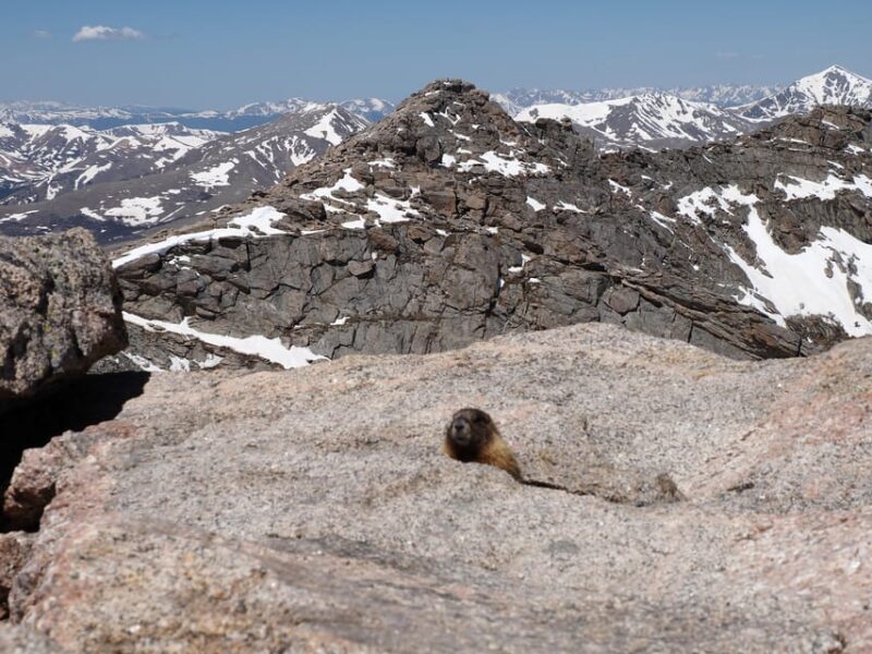 From Denver: Trip to Mount Blue Sky Summit and Glacial Lake - Practical Tips