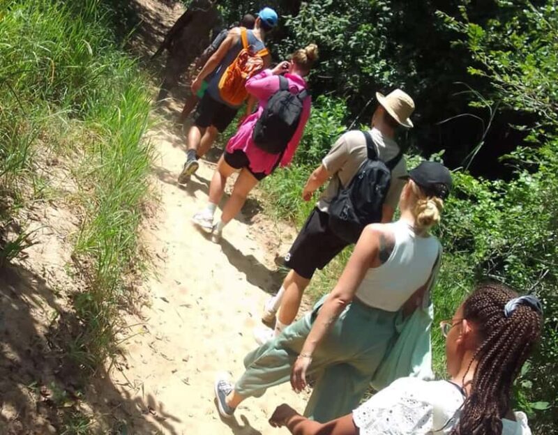 From Diani: Full Day Shimba hills tour with Sheldrick Falls - An In-Depth Look at the Shimba Hills Tour