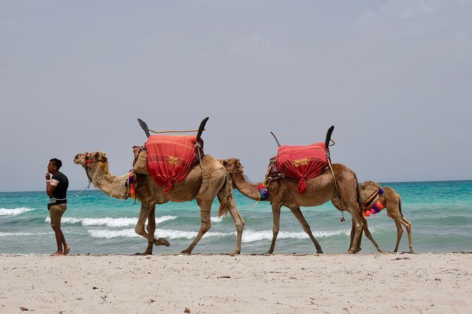 From Djerba : 1 day in the footsteps of Star Wars "Mos Eisley" - Itinerary Deep Dive: What to Expect at Each Stop