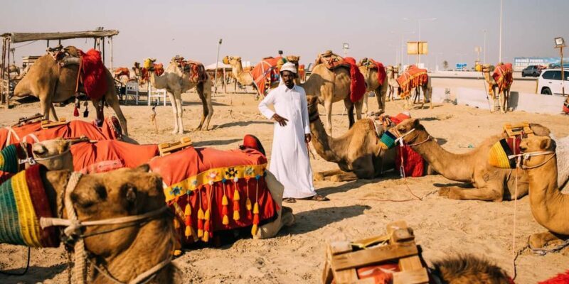 From Doha: Desert Safari Tour with Activities in Mesaieed - Practical Details and What’s Included