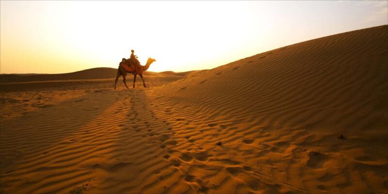 From Doha: Full-Day Desert Safari - Inland Sea (Khor Al Adaid) — A Landscape Like No Other