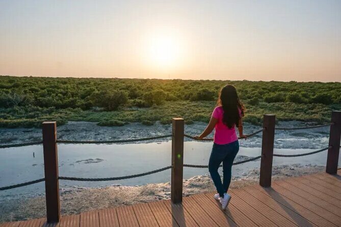 From Doha: North of Qatar Guided Tour with Transfers - Who Will Love This Tour?