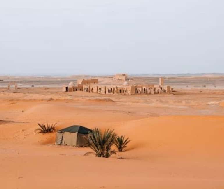 From Doha: Northern Qatar Guided Tour - The Sum Up