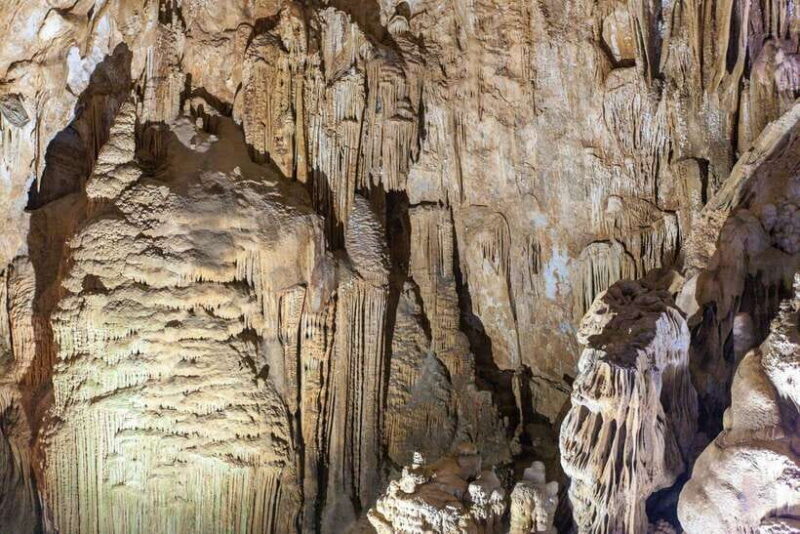 From Dong Hoi : Paradise and Phong Nha Caves Day Trip - Authentic Insights from Other Travelers