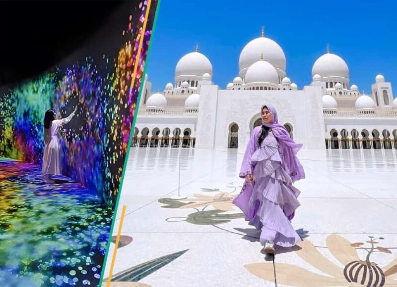 From Dubai: Abu Dhabi City Tour With teamLab Experience - Key Points
