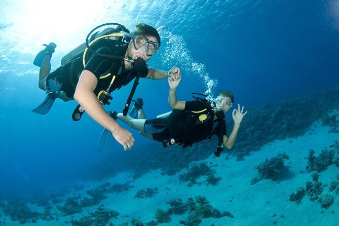 From Dubai: Discovery Scuba Diving & Snorkeling trip in Fujairah - Key Points