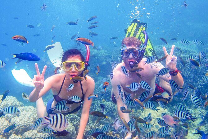 From Dubai: Discovery Scuba Diving & Snorkeling trip in Fujairah - An Introduction to the Experience
