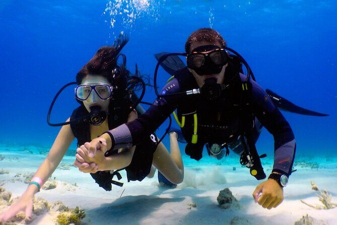 From Dubai: Discovery Scuba Diving & Snorkeling trip in Fujairah - Final Thoughts: Is This Tour for You?