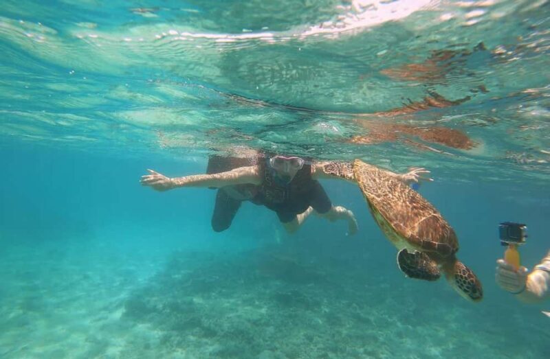 From Dubai: Fujairah Sea Turtles Snorkeling Tour with Lunch - FAQ