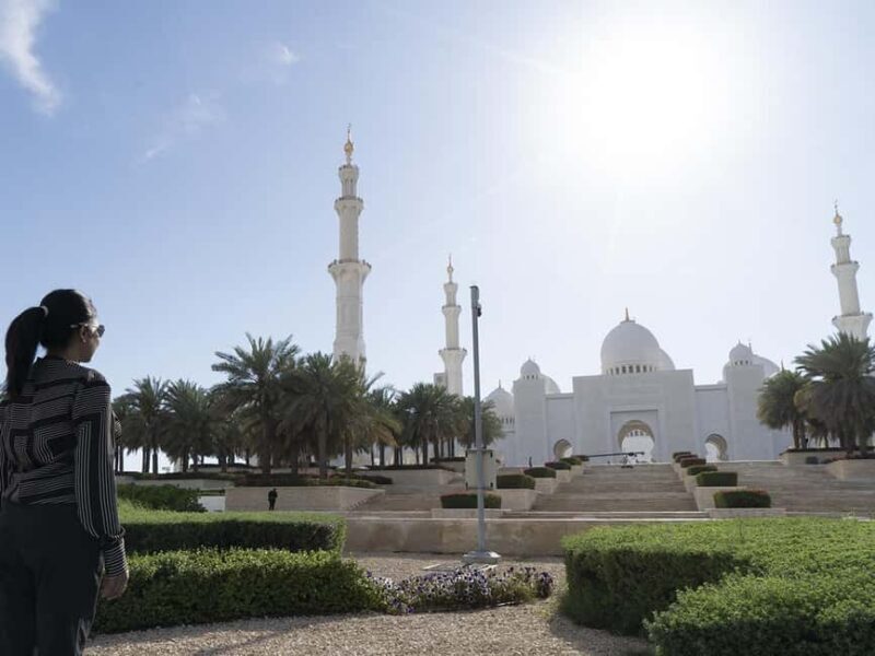 From Dubai: Full-Day Abu Dhabi Tour with Sheikh Zayed Mosque - Who Should Consider This Tour?