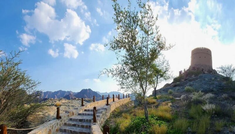 From Dubai: Hatta Sightseeing Tour with kayaking - The Itinerary in Detail: What You Can Expect