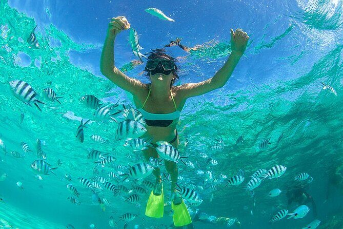 From Dubai: Snorkeling trip in Fujairah - Key Points