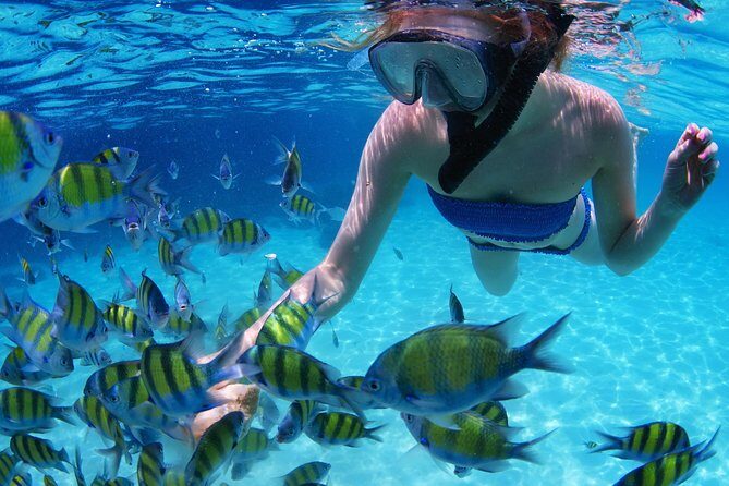 From Dubai: Snorkeling trip in Fujairah - A Closer Look at the Fujairah Snorkeling Tour