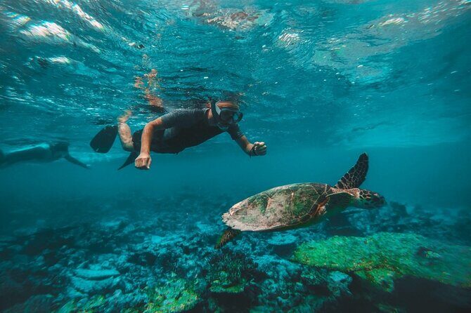 From Dubai: Snorkeling trip in Fujairah - FAQ