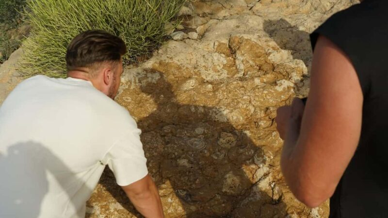 From Dubai: Zerzura Dune Buggy Experience & Fossil Discovery - FAQ