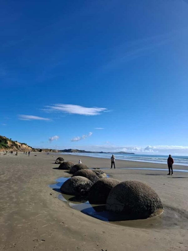 From Dunedin: Mt. Cook and Lake Pukaki Private Day Tour - Key Points