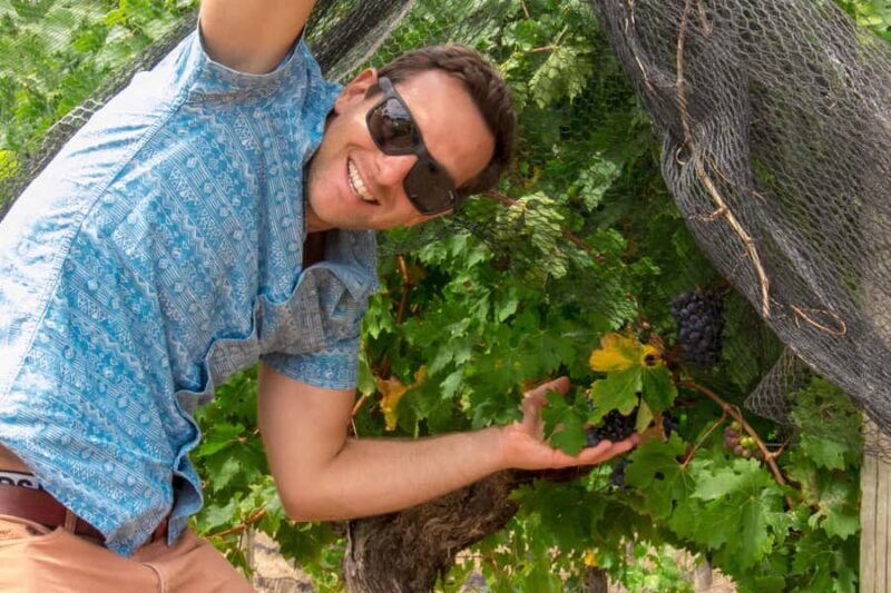 From Dunsborough/Busselton: Margaret River Wine Adventure - An In-Depth Look at the Margaret River Wine Adventure