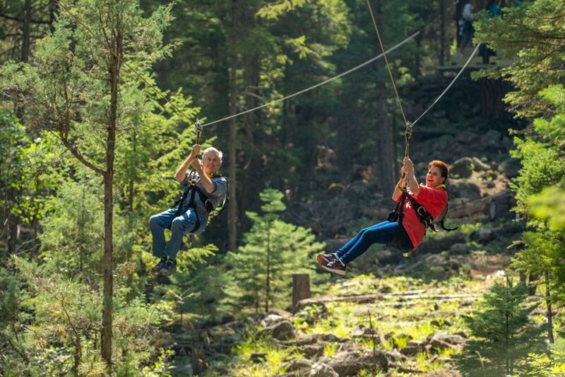 From Durango: All-Day Zipline Adventure with Train & Lunch - A Closer Look at the Tour Experience