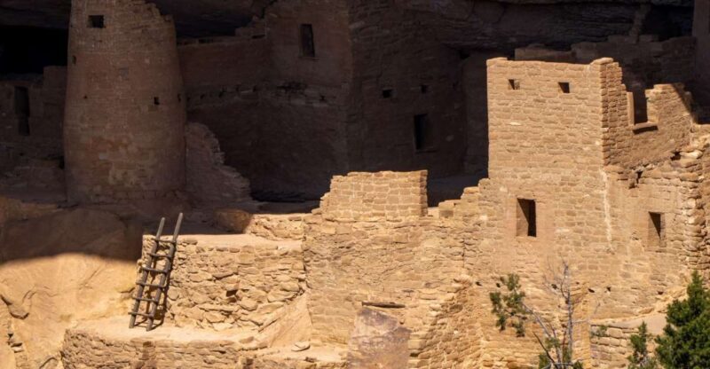 From Durango: Mesa Verde Express Tour & Cliff Palace Ticket - Reviews and Authentic Perspectives