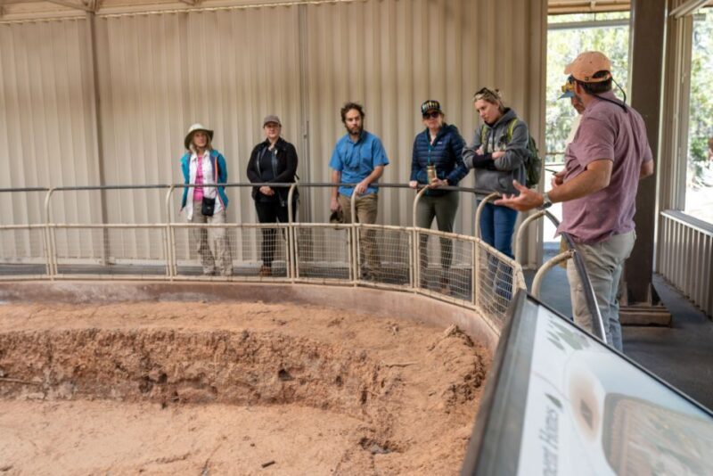 From Durango: Mesa Verde National Park Private Tour w/Lunch - Who Will Love This Tour?